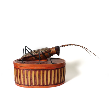 Wicker Longhorn Beetle Box 1615