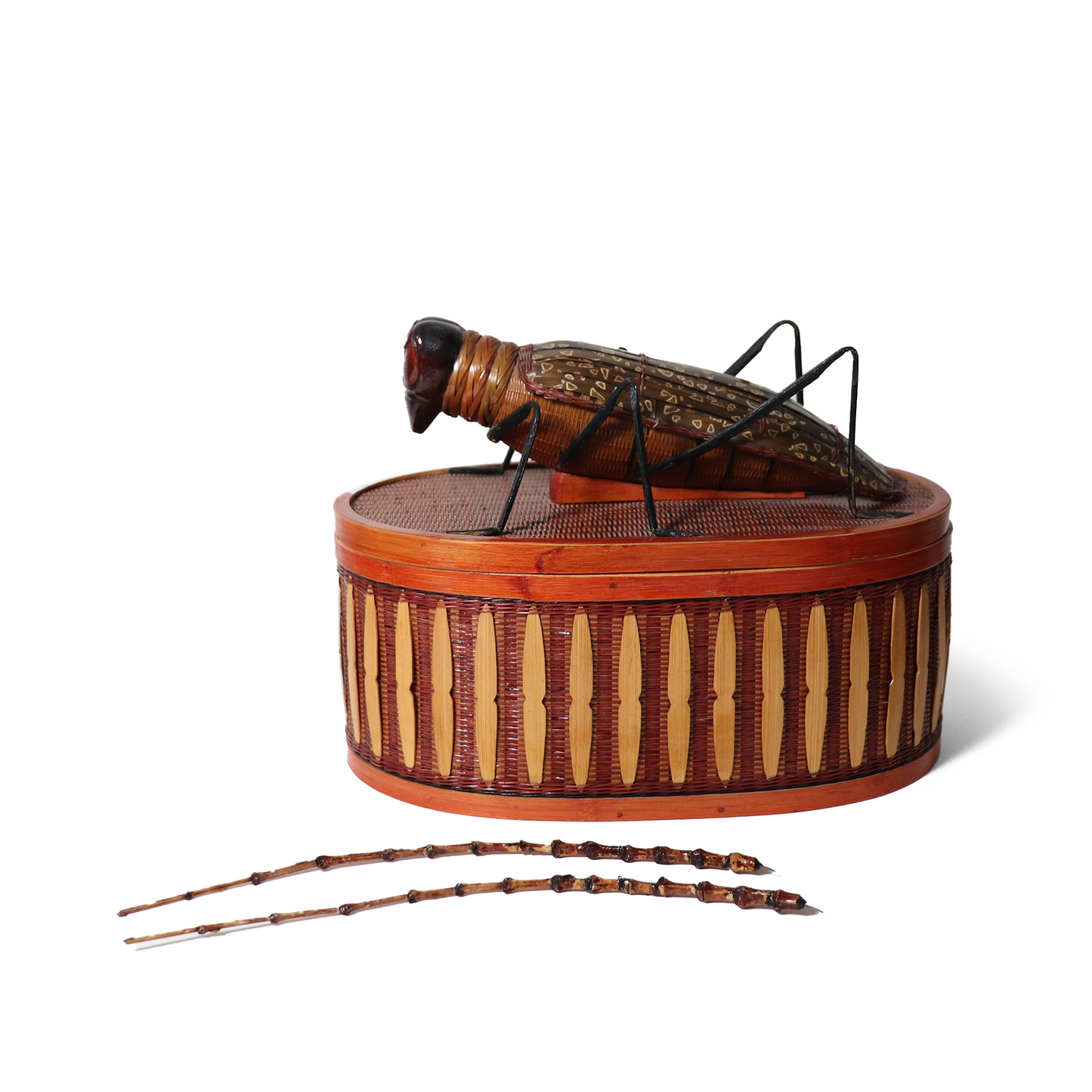 Wicker Longhorn Beetle Box 1615